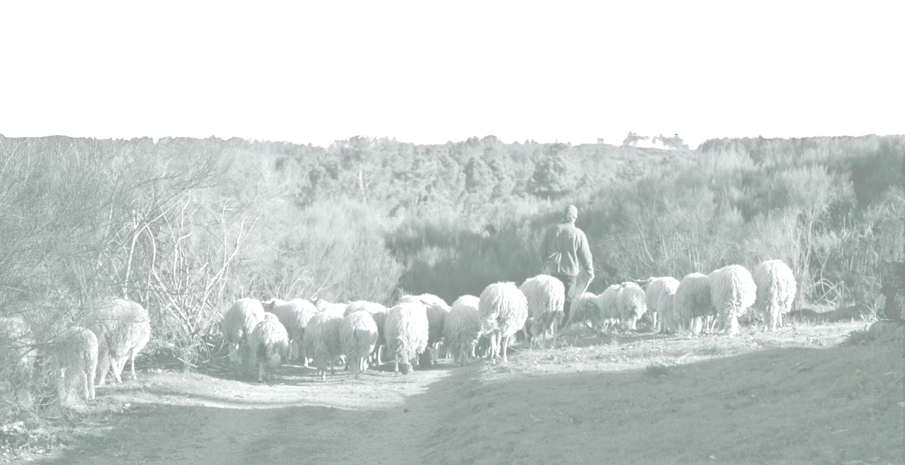 475704467_565630569830751_49578590829770