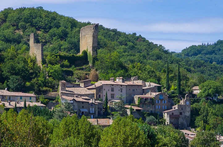 Bourdeaux Viale et Chatelas