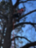 IMG_8584.jpeg