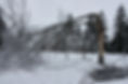 ice storm.jpg