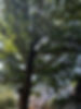 IMG_1914.jpeg