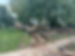 IMG_1891.jpeg
