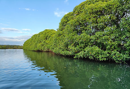 IMG-20240204-WA0052_edited.jpg
