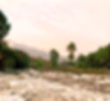 127809081_435957361130401_380386330449307429_n_edited_edited.jpg