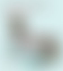 Schreck's Baxter Liquor Louisville, KY