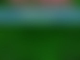 Whimsical and adorable - Chenille Elves!