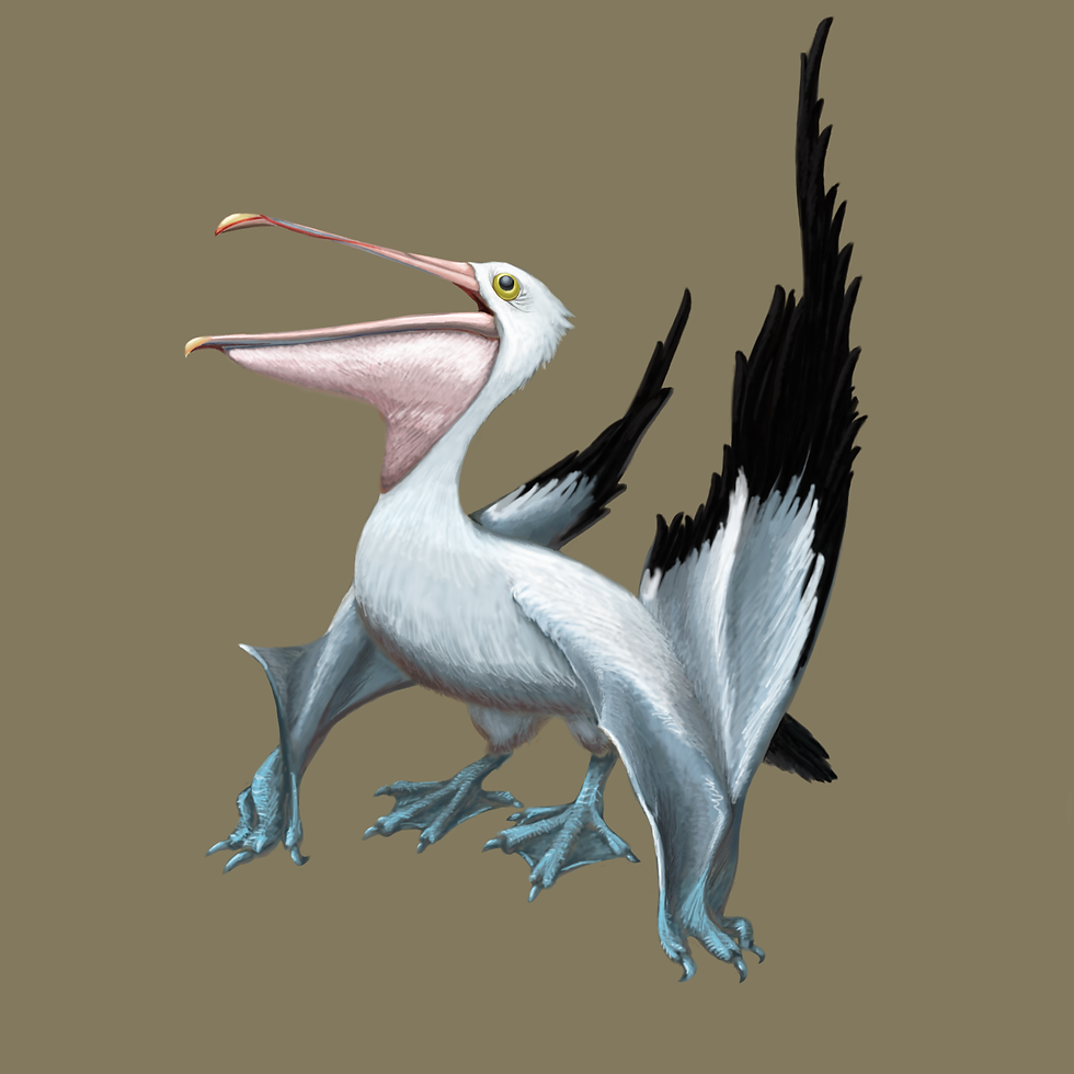 ペリカノプテルス