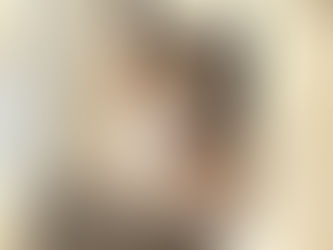 BRITISH SHORTHAIR VALE A PENA? CONHEÇA A RAÇA