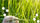 Why Wheat Alcohol-Based Perfumes Outperform Oil and Water-Based Alternatives: A Health-Conscious and Olfactory Perspective