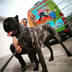 Maximus🐕🐶 a new member of _delvallepetgrooming family!!!#delvallepetgrooming #ufff #dog #dogsofins