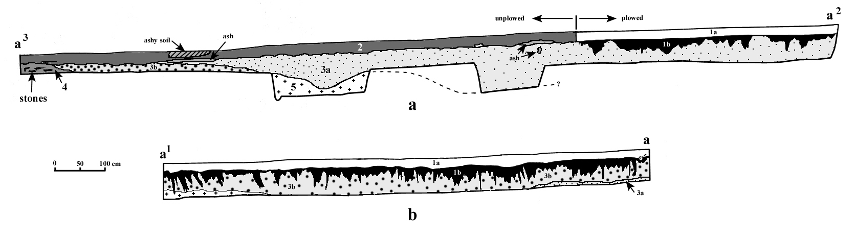 Figure-7-Test-trench-sections.gif