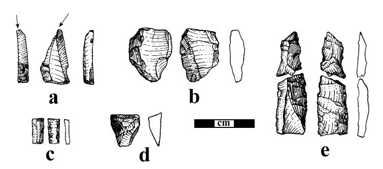 Figure11.-Miscellaneous.gif