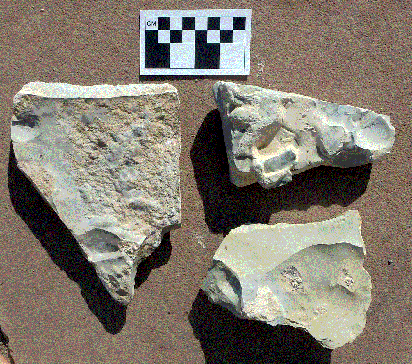 Aspen-Mt-shale-raw-pieces.gif