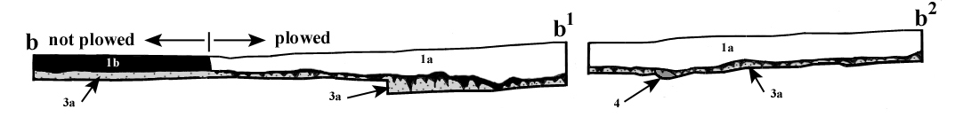 Figure-5-Trench-section.gif