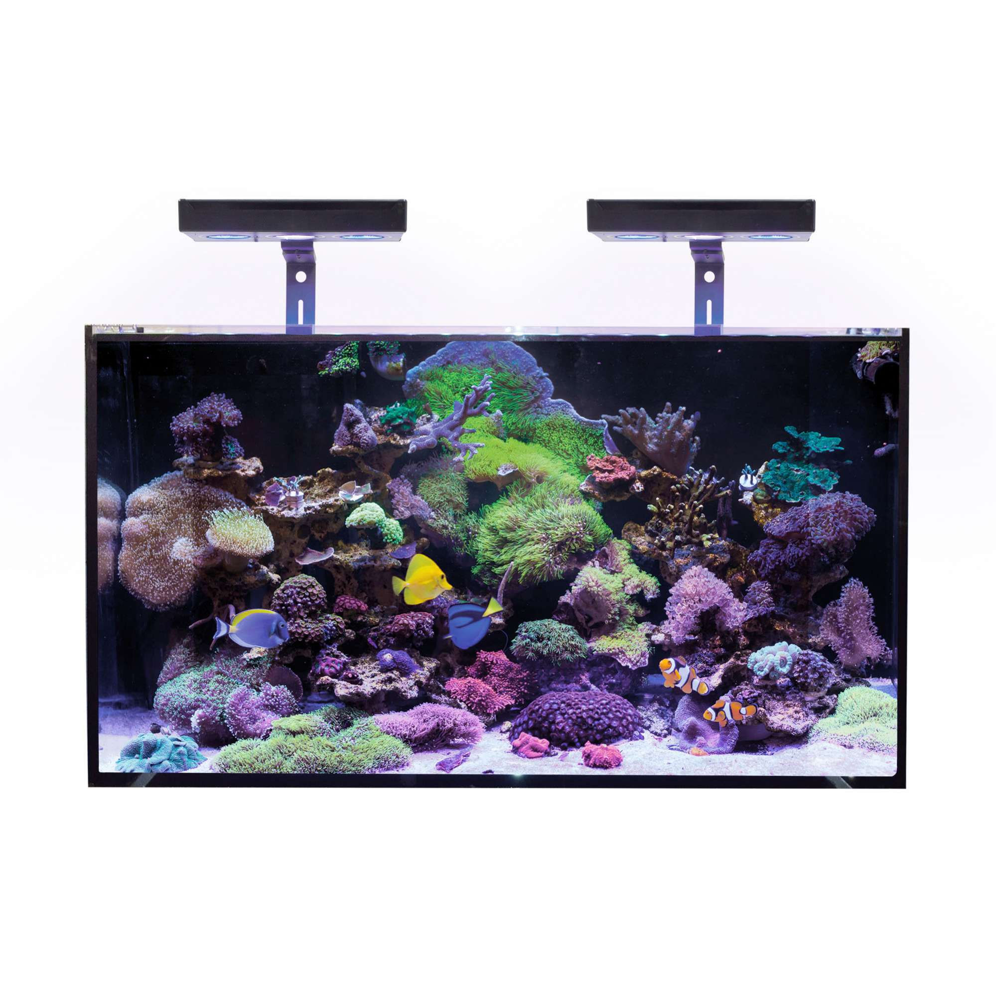 Acuario marino KORAL (112 l)