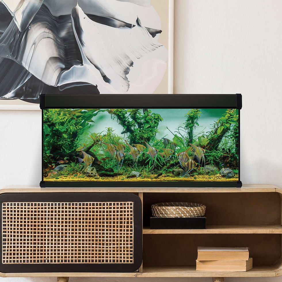 Miniatura: Acuario Aqua LUX PRO 450