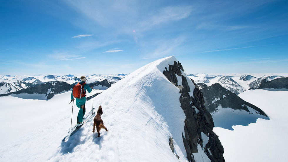 A man skiing with a dog on top of snow-covered mountains.