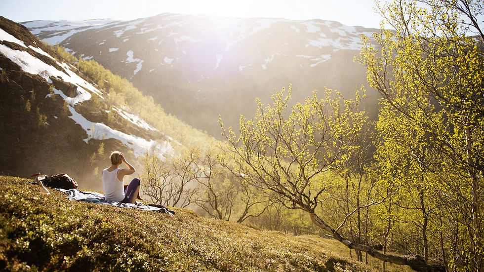 A person relaxing on a blanket with a view of green mountains with snow on top.