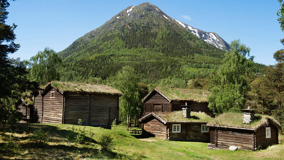 Old timbered buildings with grass on the roof.