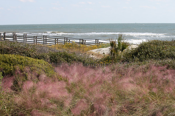 Kiawah Island, SC