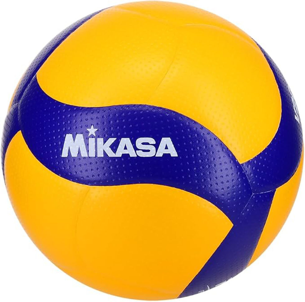 B. de Voleibol (MIKASA)