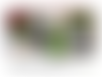 ทำอย่างไรเมื่อต้นไม้มาถึง