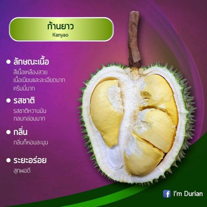 มารู้จักทุเรียนกันค่ะ content media