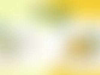 จำปี vs จำปา