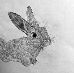 Student Artist - 8 years old
Media: Pencil