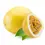 Thumbnail: Passion Fruit Yellow Panama Vine