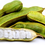 Thumbnail: Ice Cream Bean Fruit Tree (2 years old)