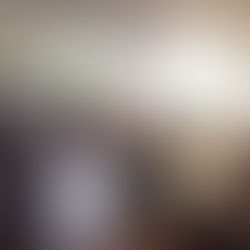 What are the benefits can you get from joining the Organization?