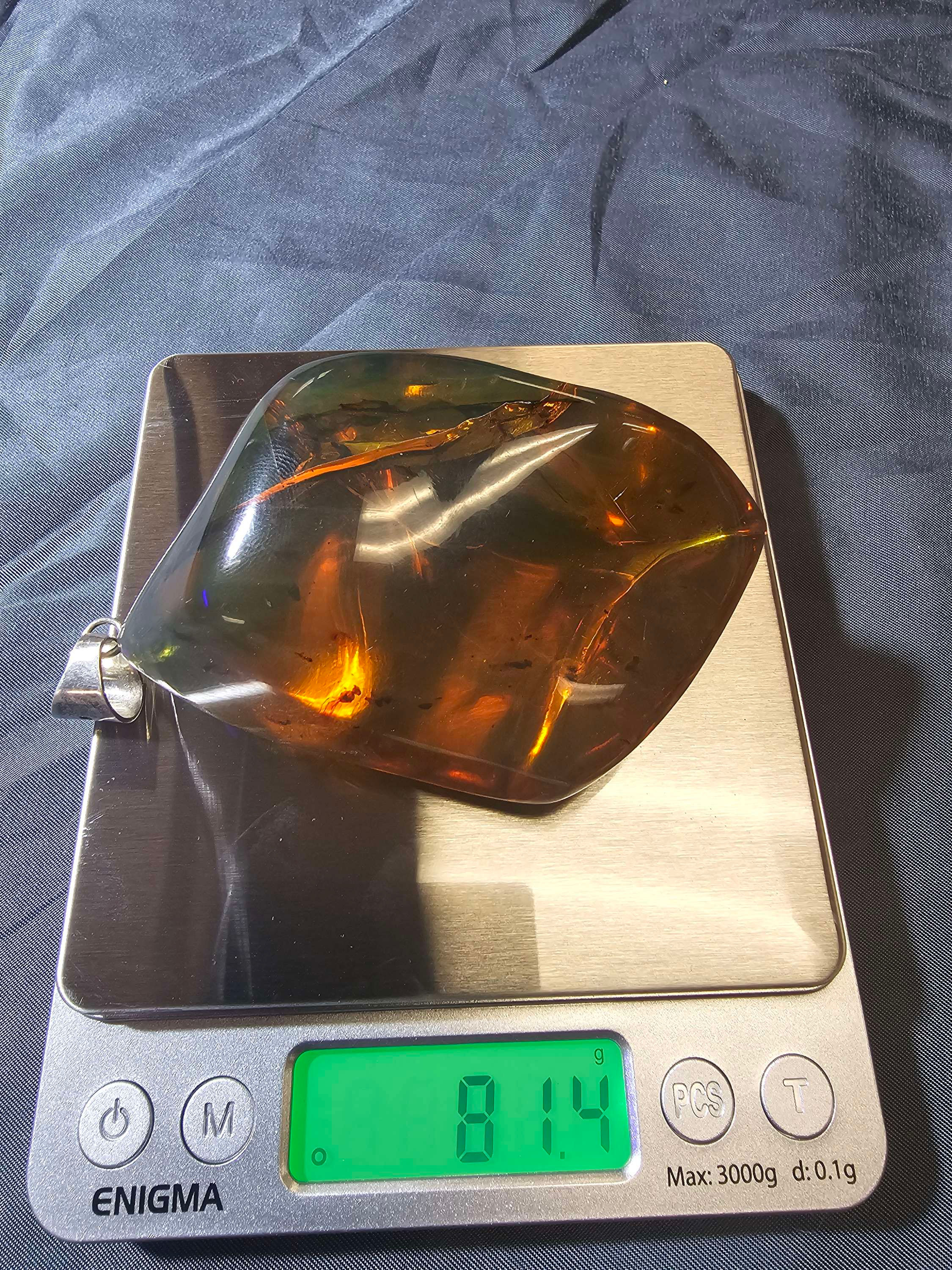 Amber specimen (with insects)