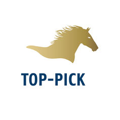 לוגו לחברת השמה