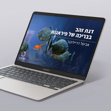 מיתוג ועיצוב מצגת