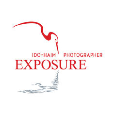 לוגו לצלם רחוב