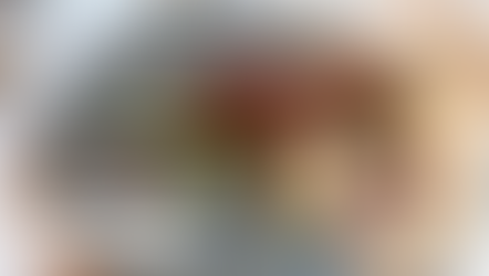 Vildtkød m. Rødvinssauce