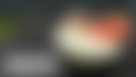 Blomkål-Spinat Suppe m. Chips