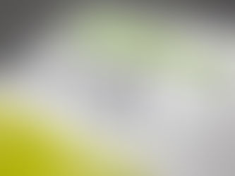 Water Sensitive Urban Design Guidelines