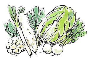 野菜野菜