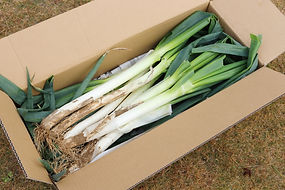 箱詰め野菜