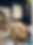 IMG_0167.jpeg