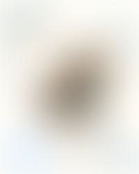 RECENSIONE: Il Sistema di Salvataggio del Peggiore dei Cattivi - volume 3 - L'Immortale