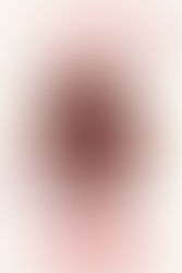 RECENSIONE: Twisted Wonderland - Il Tiranno Scarlatto