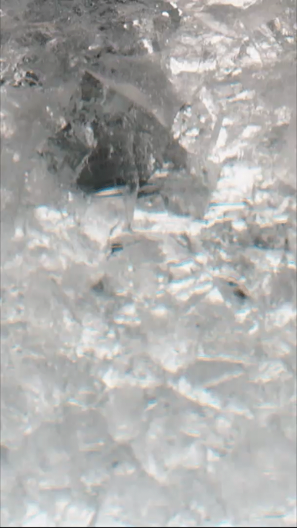 The One & Only Social_0603 (2)_1.gif