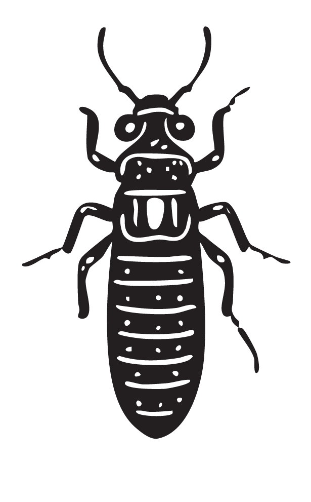 Termite.png