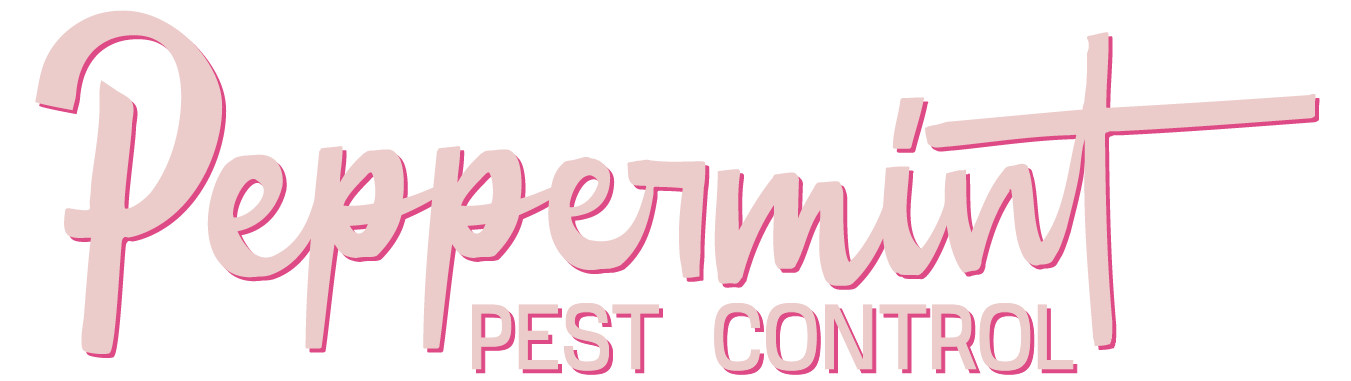 Primary Logo Shadow Light Pink.png