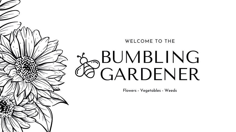 Bumbling%2520Gardener%2520(7)_edited_edited.jpg
