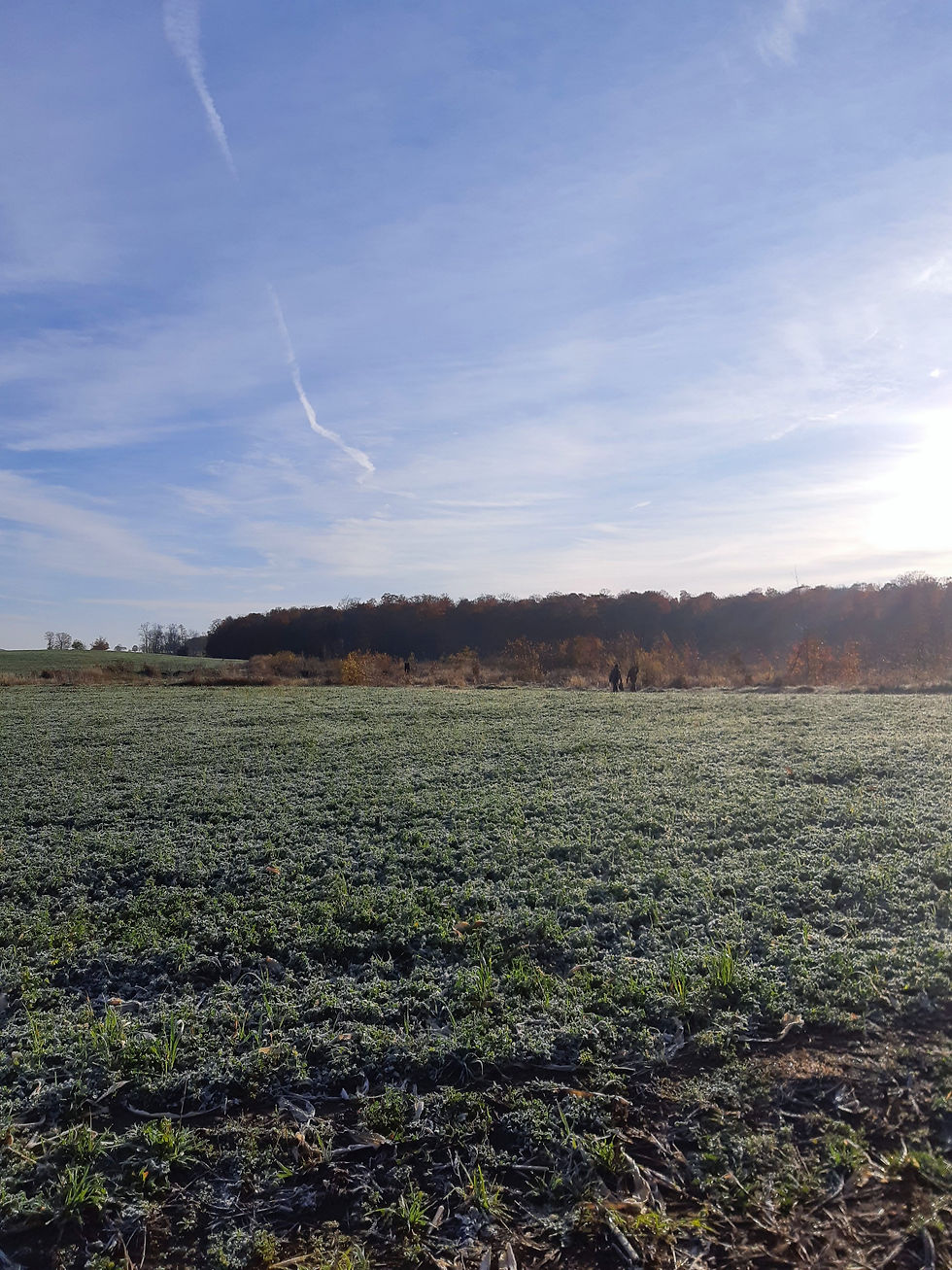 A Traditional Irish Blessing