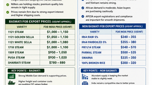 india-rice-market-update-2026-basmati-non-basmati-export-prices
